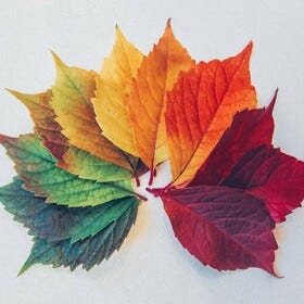 Seasonal Forecasting
— A basic model in 4 steps Seasonal Forecasting
— A basic model in 4 steps